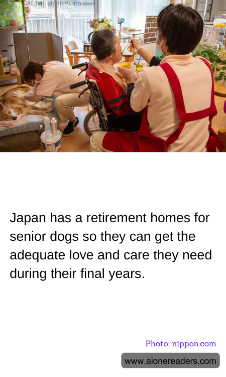 General Knowledge Learning Cards