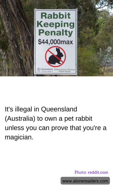 It's illegal in Queensland (Australia) to own a pet rabbit unless you can prove that you're a magician.