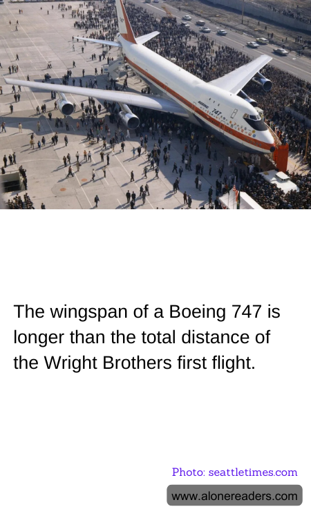 General Knowledge Learning Cards