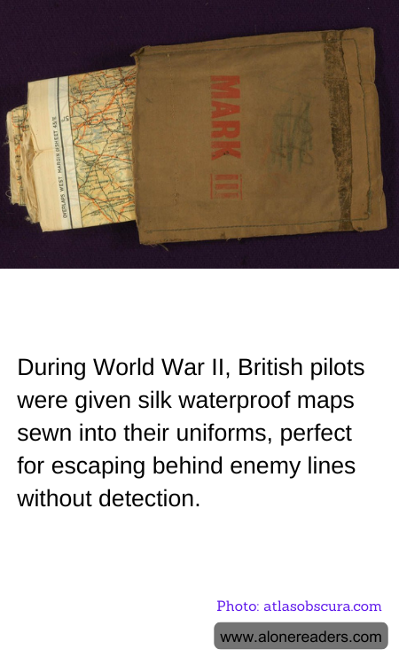 General Knowledge Learning Cards