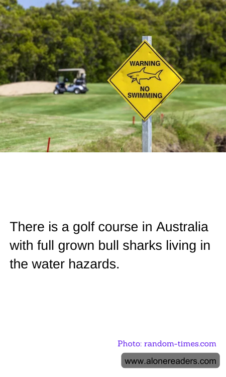 There is a golf course in Australia with full grown bull sharks living in the water hazards.