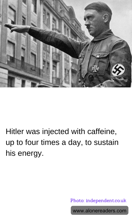 General Knowledge Learning Cards