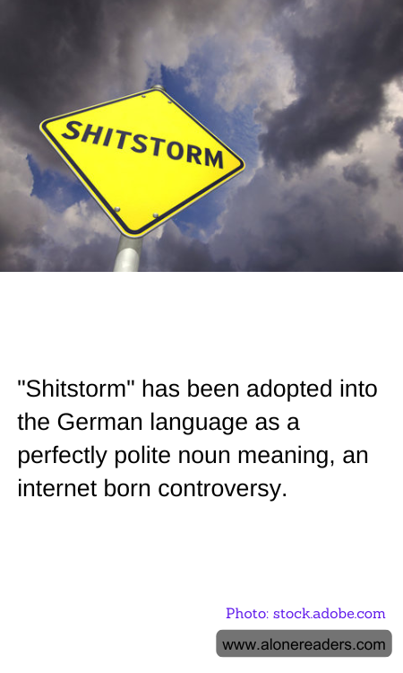 "Shitstorm" has been adopted into the German language as a perfectly polite noun meaning, an internet born controversy.