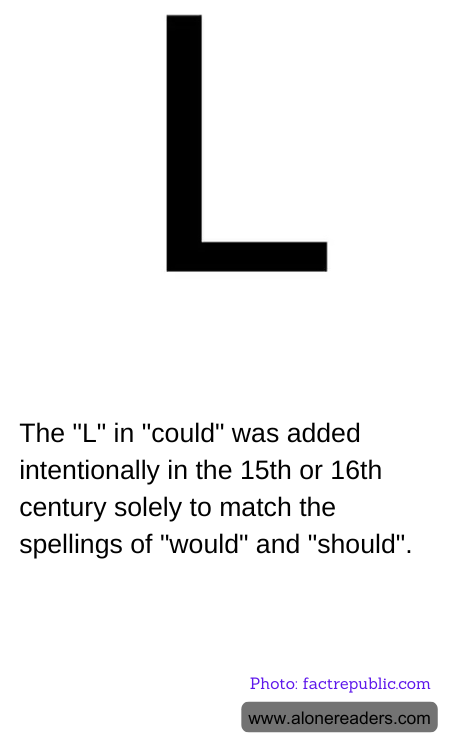 General Knowledge Learning Cards