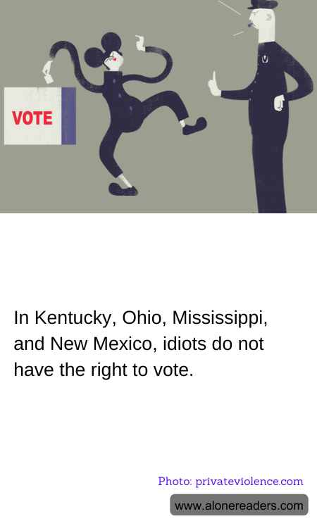 General Knowledge Learning Cards