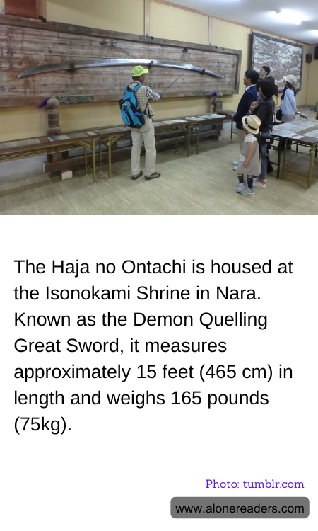 General Knowledge Learning Cards