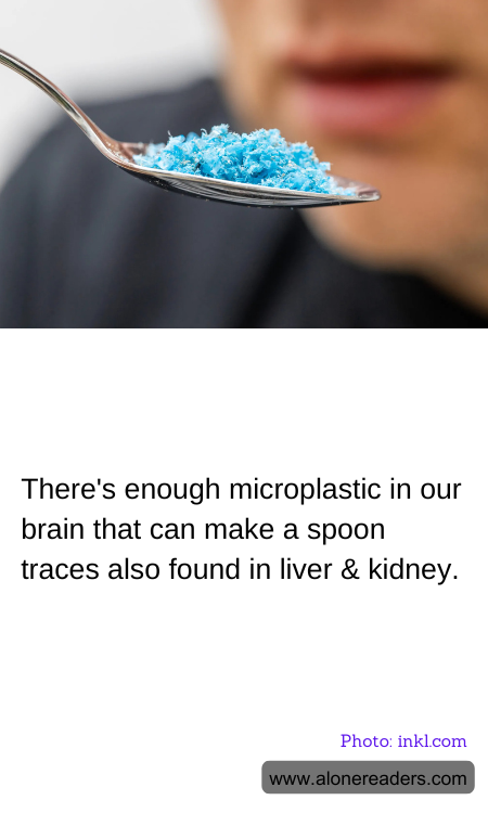 General Knowledge Learning Cards