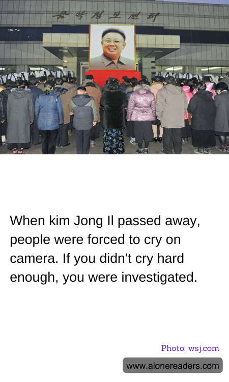 General Knowledge Learning Cards