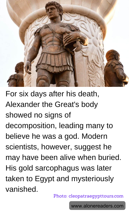 General Knowledge Learning Cards