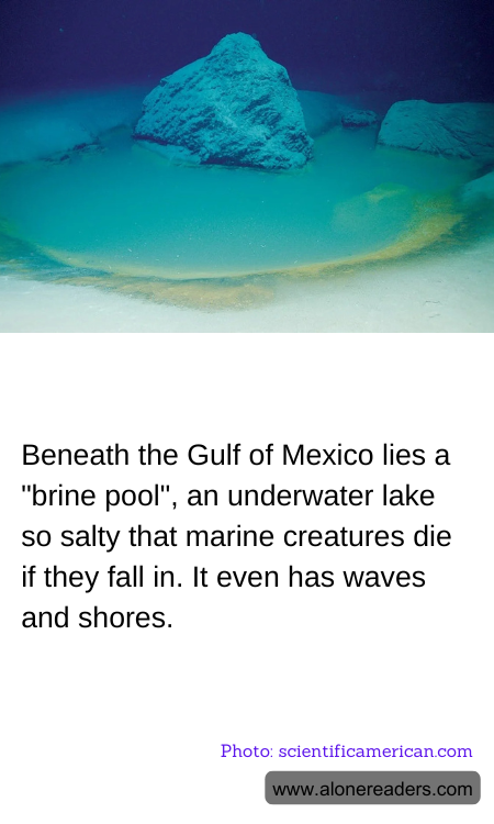 General Knowledge Learning Cards