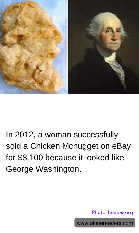 General Knowledge Learning Cards