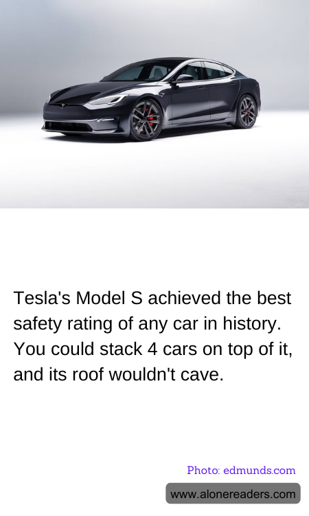 General Knowledge Learning Cards