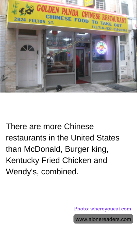 General Knowledge Learning Cards