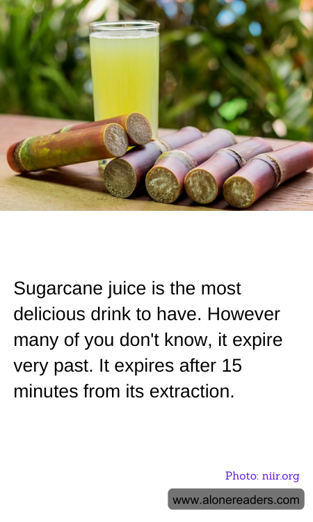 General Knowledge Learning Cards