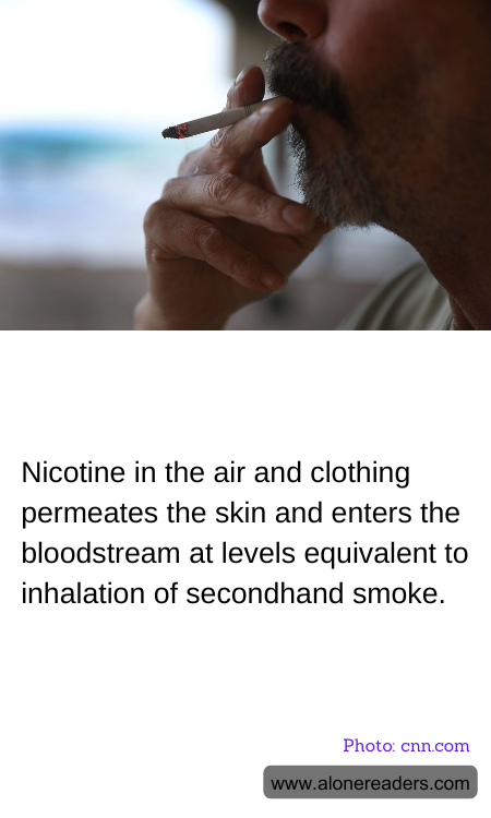 General Knowledge Learning Cards