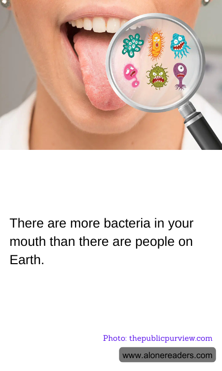 General Knowledge Learning Cards