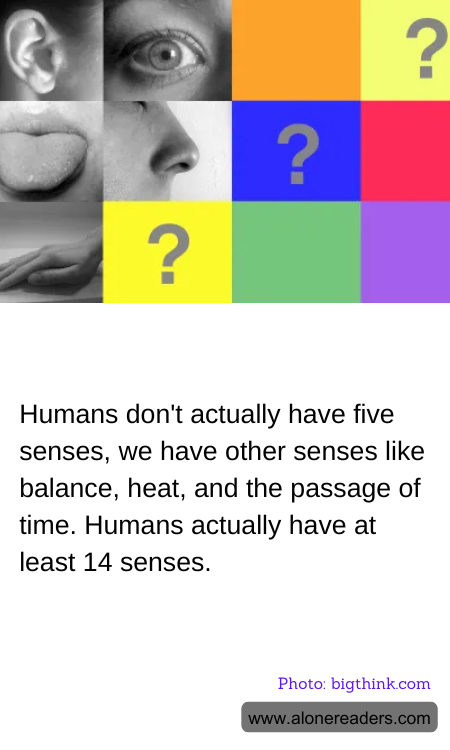 General Knowledge Learning Cards