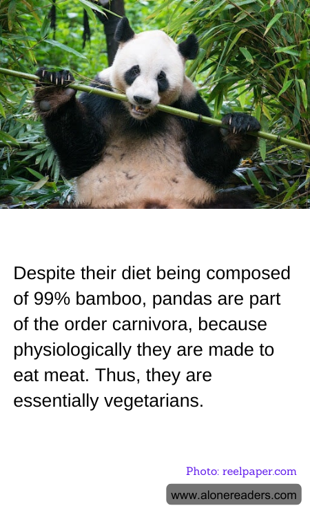 Despite their diet being composed of 99% bamboo, pandas are part of the order carnivora, because physiologically they are made to eat meat. Thus, they are essentially vegetarians.