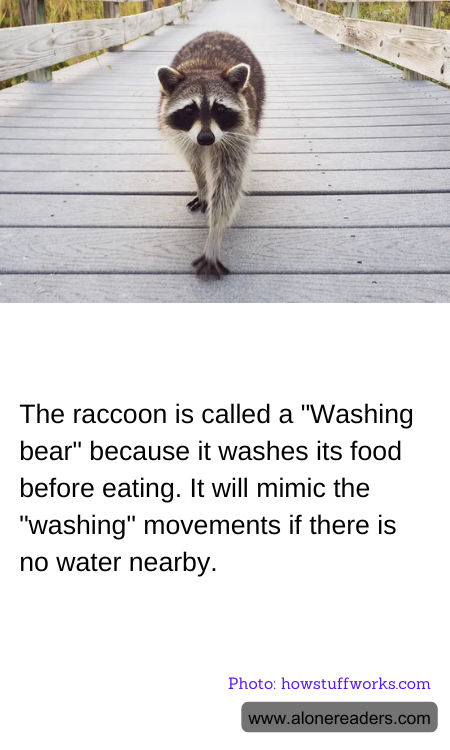 General Knowledge Learning Cards