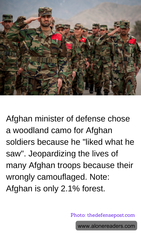 General Knowledge Learning Cards