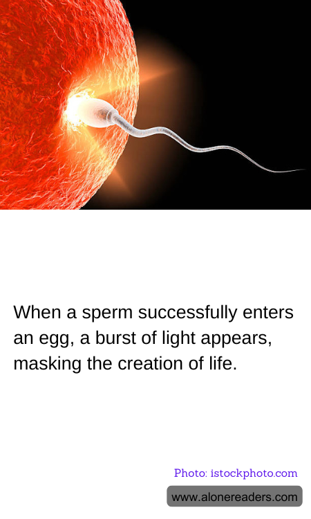 When a sperm successfully enters an egg, a burst of light appears, masking the creation of life.
