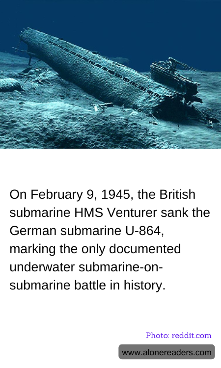 General Knowledge Learning Cards