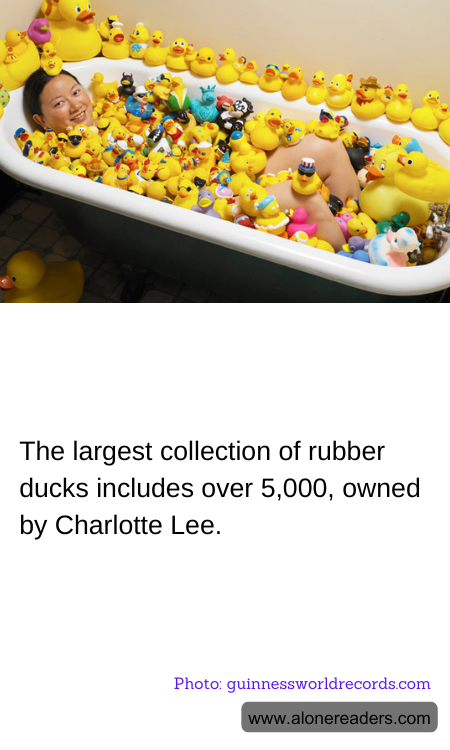 General Knowledge Learning Cards