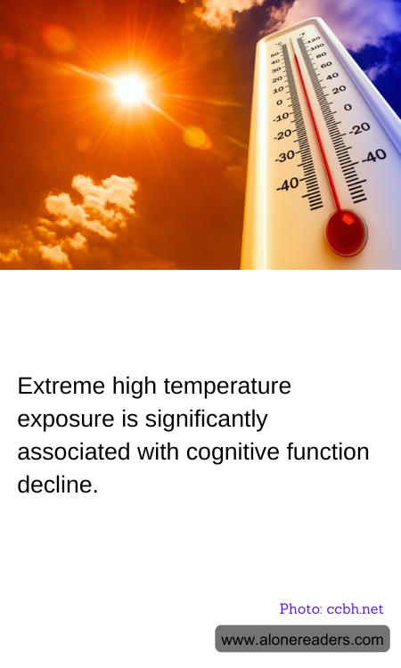 General Knowledge Learning Cards