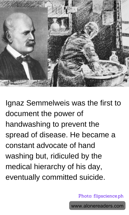 General Knowledge Learning Cards