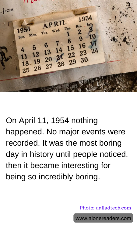 General Knowledge Learning Cards