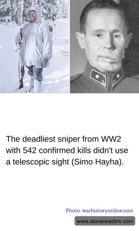 General Knowledge Learning Cards