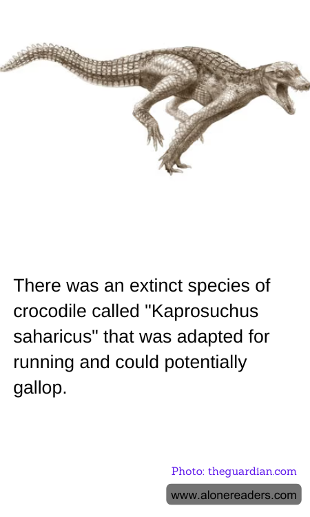 General Knowledge Learning Cards