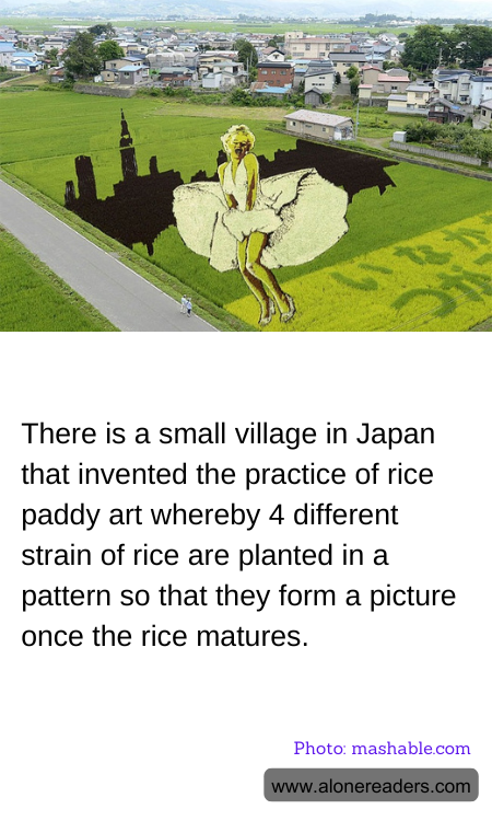 There is a small village in Japan that invented the practice of rice paddy art whereby 4 different strain of rice are planted in a pattern so that they form a picture once the rice matures.