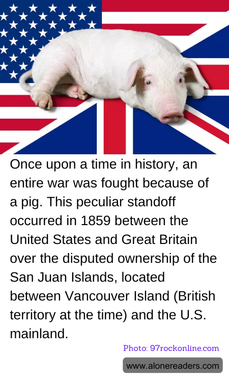 General Knowledge Learning Cards