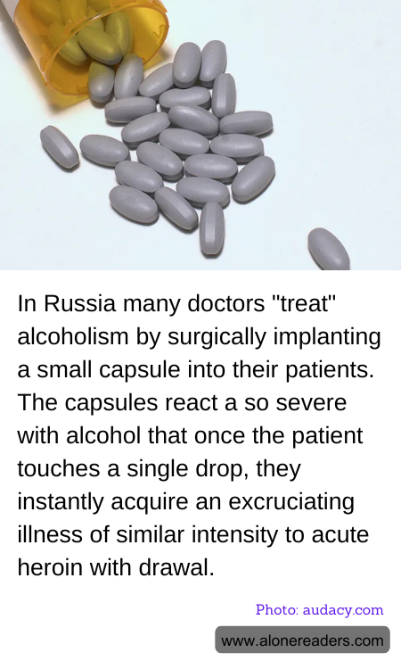 General Knowledge Learning Cards