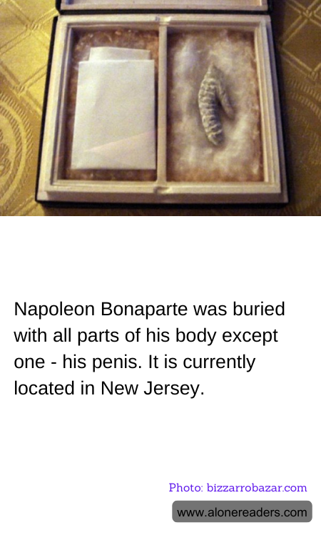 General Knowledge Learning Cards