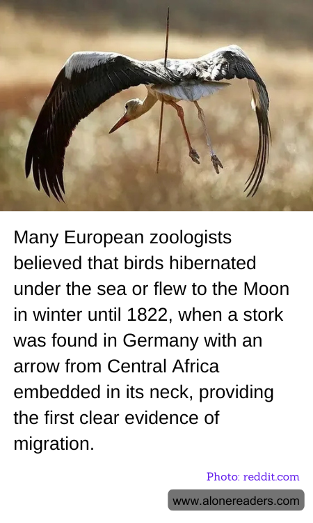 General Knowledge Learning Cards