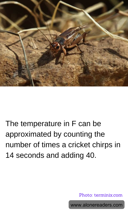 General Knowledge Learning Cards