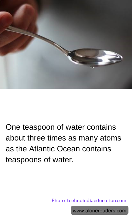 General Knowledge Learning Cards