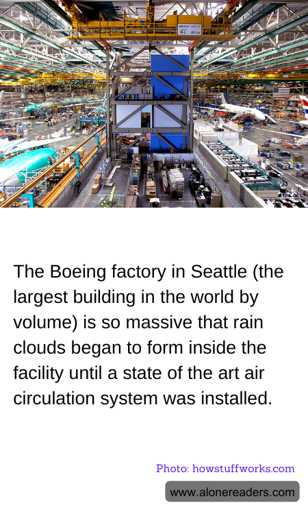 General Knowledge Learning Cards