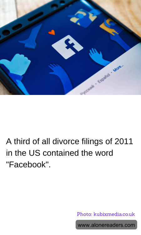 A third of all divorce filings of 2011 in the US contained the word "Facebook".