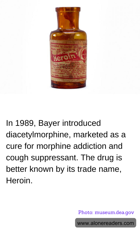 General Knowledge Learning Cards