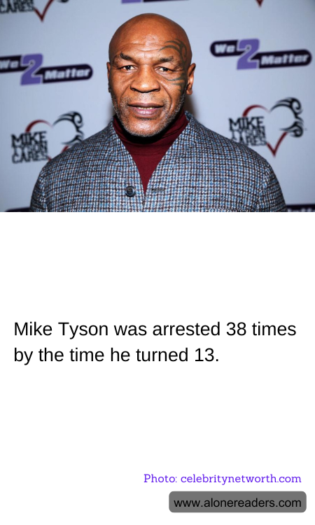 General Knowledge Learning Cards