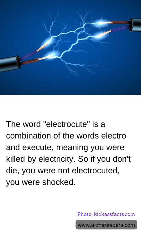 The word "electrocute" is a combination of the words electro and execute, meaning you were killed by electricity. So if you don't die, you were not electrocuted, you were shocked.