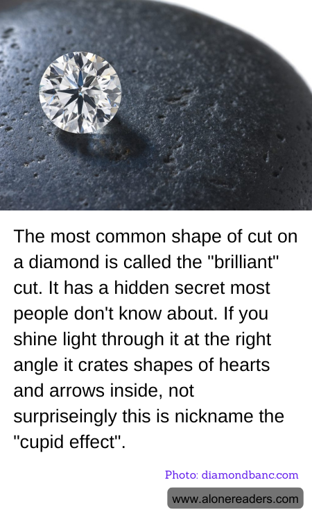 General Knowledge Learning Cards