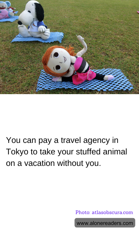 General Knowledge Learning Cards