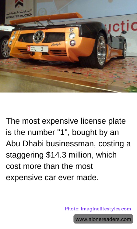 General Knowledge Learning Cards