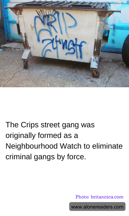 General Knowledge Learning Cards