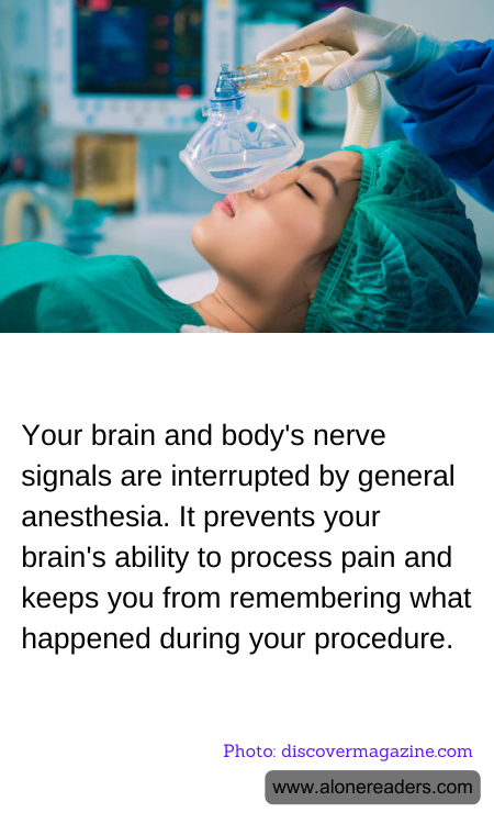 General Knowledge Learning Cards