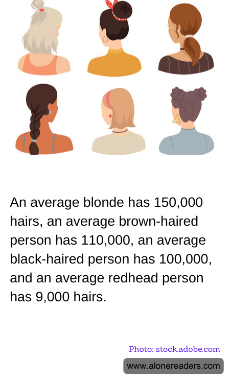 General Knowledge Learning Cards